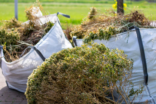 Best Hoarding Cleanup  in Pinetop Lakeside, AZ